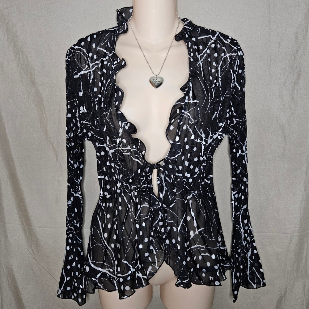 Notations Sheer Ruffle Blouse Long Sleeve